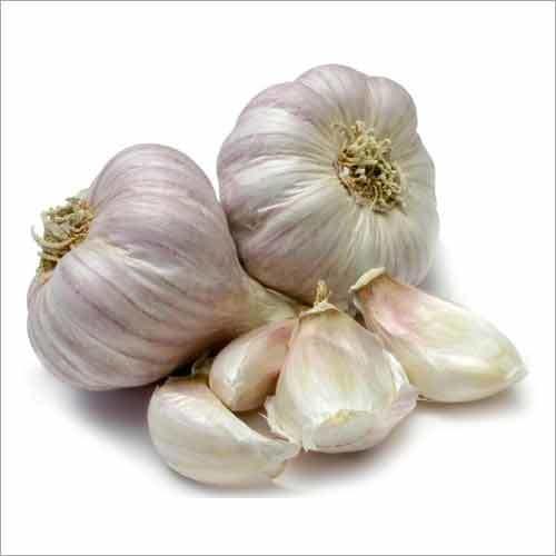 White Garlic