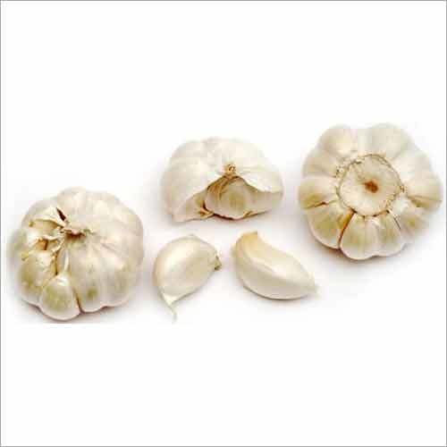 Garlic Bulbs
