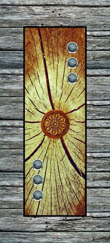 Digital Door Skin Printing