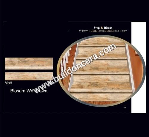Step With Riser Application: Ceiling Tiles