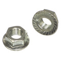 Flange Nuts
