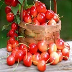 Cherry Flavor
