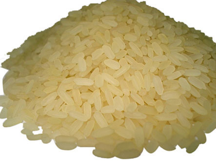 IR 8 RICE IR 8 RICE