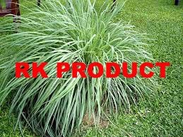 Citronella Oil - 100% Pure Essential Oil, Natural Fragrance Compound and Therapeutic Benefits