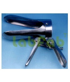 SPECULAE GUPTA BRAND