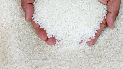 Broken Rice