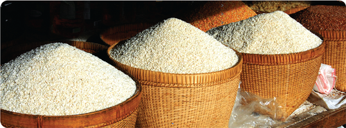 Non Basmati Broken Rice Non Basmati Broken Rice
