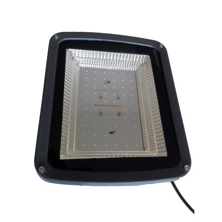 Led Flood Light