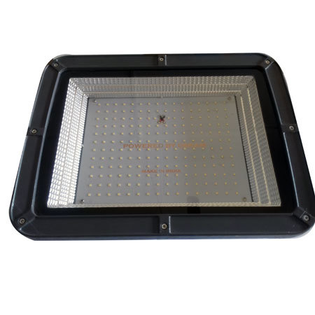 Led Flood Lights