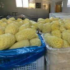 Frozen Pineapple Whole