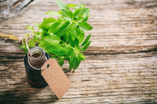 Basil Essential Oil