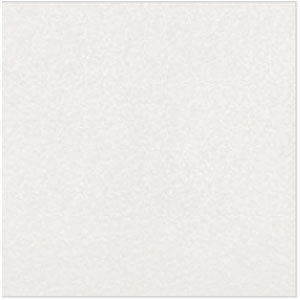 Granito Floor Tiles