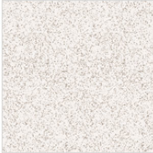 Nexa Seashell Vitrified Floor Tiles