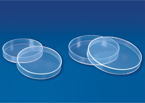 Petri Dish