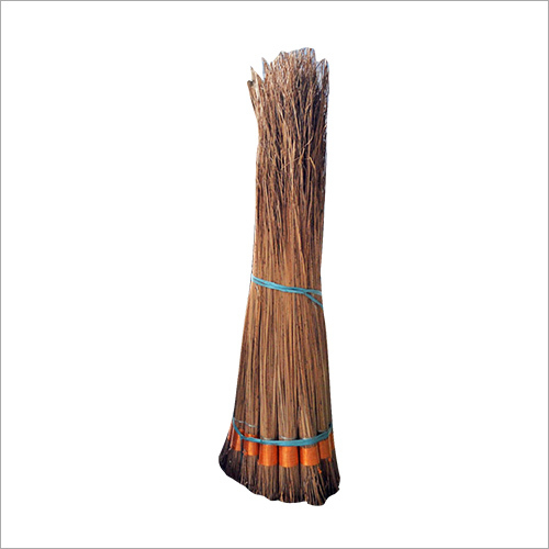 Coconut Tree Brooms