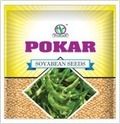 Pokar Soyabean Seeds