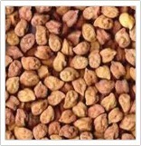 PULSES SEEDS