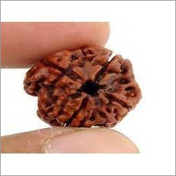 Three Mukhi Rudraksha Bead - Rudraksha Seed, Variable Size, Brown | Exemplary Quality, Spiritual Appeal, Textured Surface