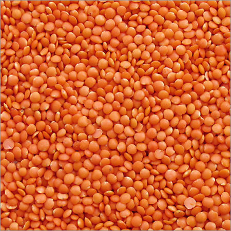 Masoor Indian Dal