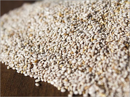 Organic Seeds