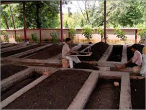 Kowsar Vermicompost