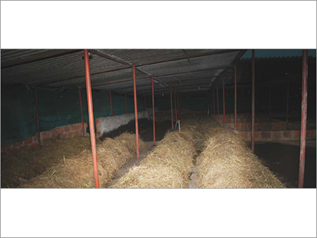 Agriculture Biofertilizers