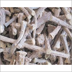 Tinospora Cordifolia Extract