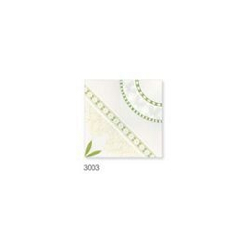 300 x 300 Glossy White Floor Tiles