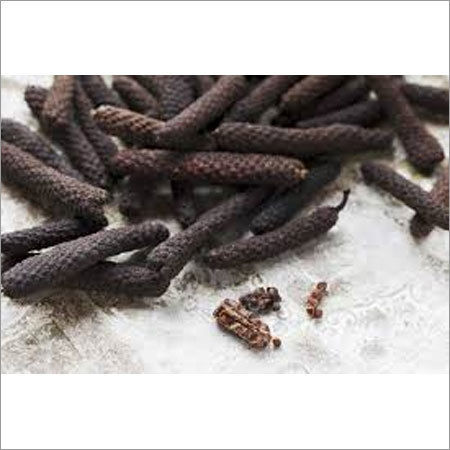 Long Pepper