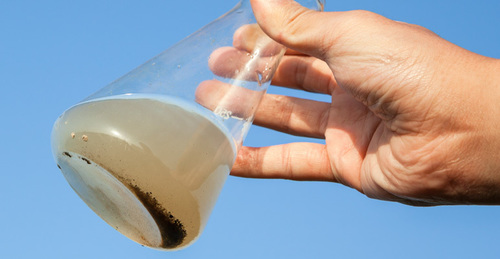 Agro Testing Services