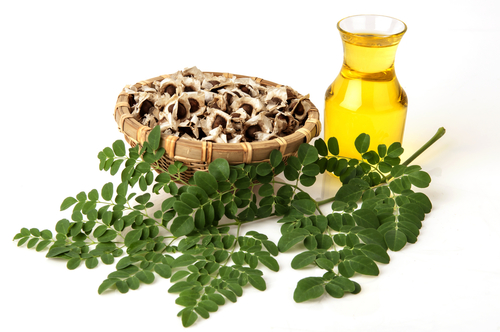 Moringa Seeds Oil