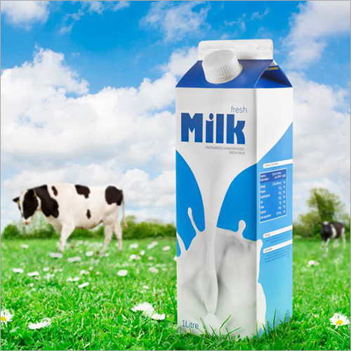 Fresh Cow Milk