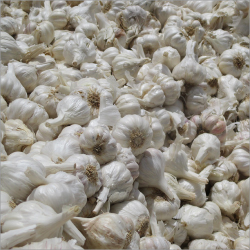 White Garlic Cloves