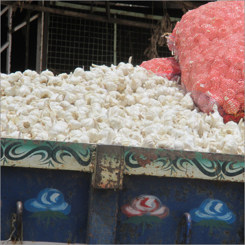 Raw White Garlic