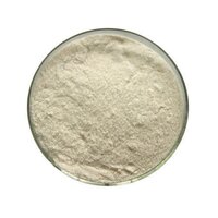 T.B.H.Q.(TERTIARY BUTYL HYDRO QUINONE )