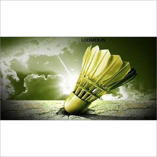 Shuttlecock