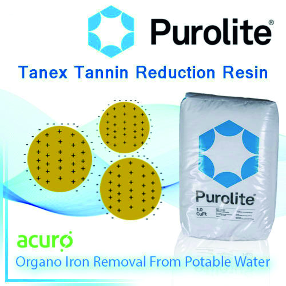 Strong Base Anion Exchange Resin