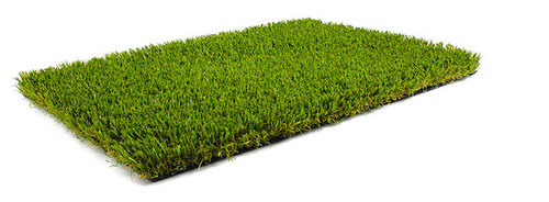 Artificial Grass