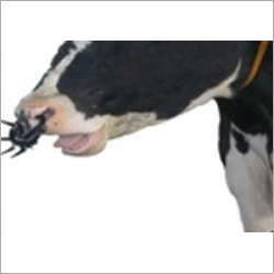 Cow Weaner