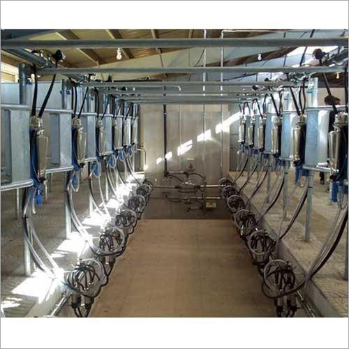 Herringbone Milking Parlour