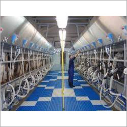 Swingover Milking Parlour