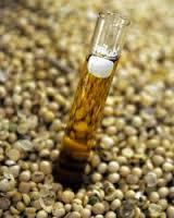 renewable fuels