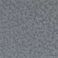Textured Paints
