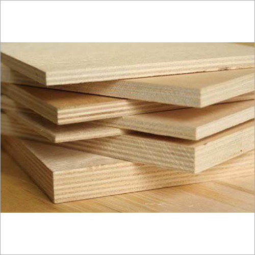 Longboard Plywood