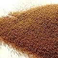 Instant Chicory Powder (without Maltodextrin)