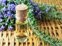 Rosemary-Oil