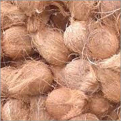 Semi Husked Coconut