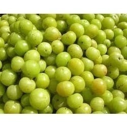 Amla