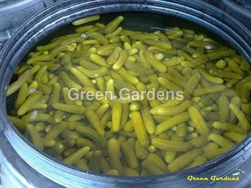 Processed Gherkins in Acetic Acid