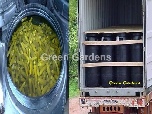 Ready to ship Gherkins in Containers